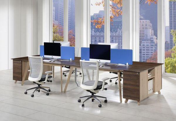 modern-shared-workstation-for-2 - 313172