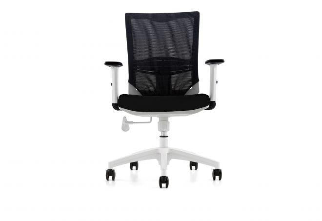 executive-mesh-back-chair - 313662