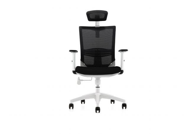 executive-mesh-back-chair-with-headrest - 313661