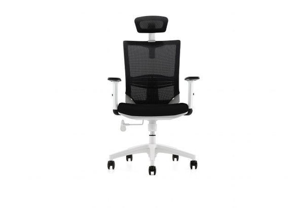executive-mesh-back-chair-with-headrest - 313661